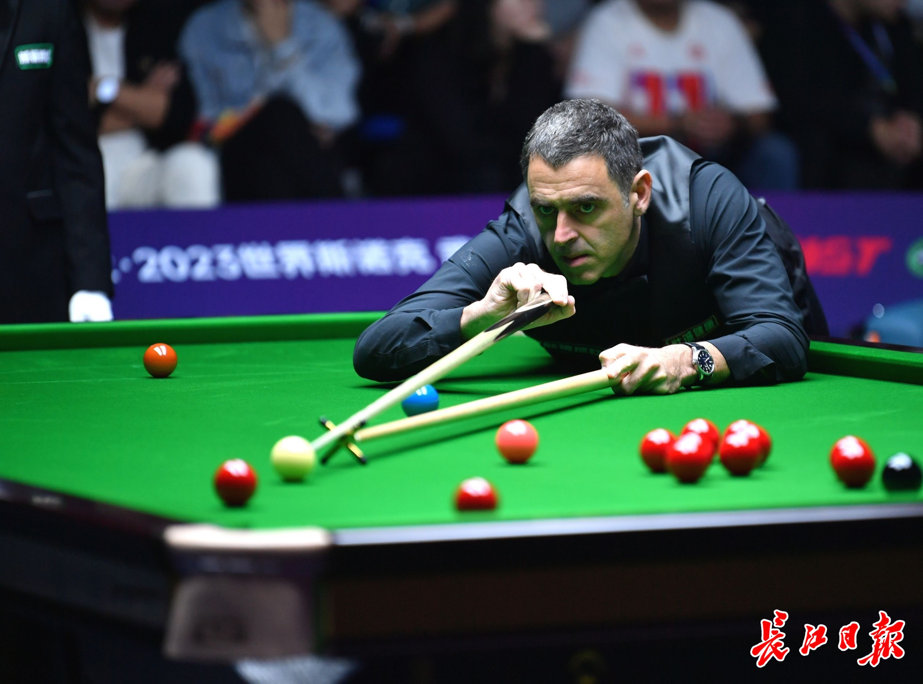 球迷的质疑 球迷的质疑