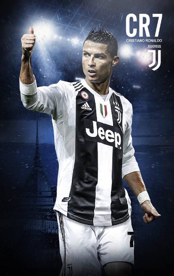 都能找到 都能找到